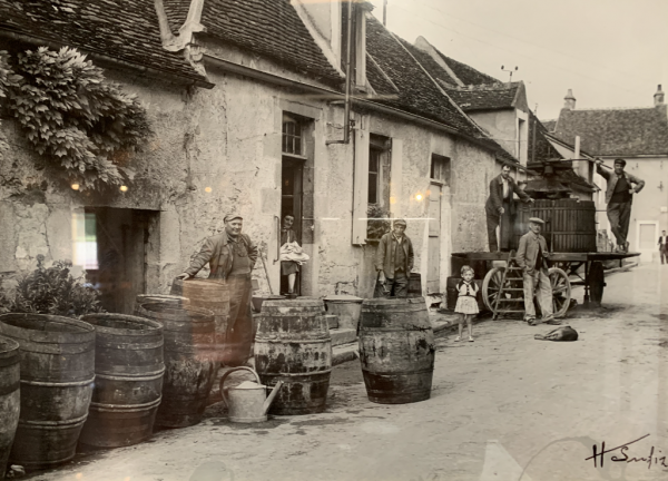 Vendanges rue St Vincent