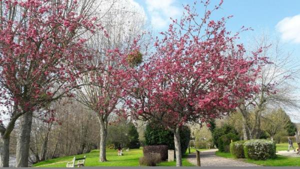 Maryse MERIGOT juin 2019 Vermenton Aire de Loisirs