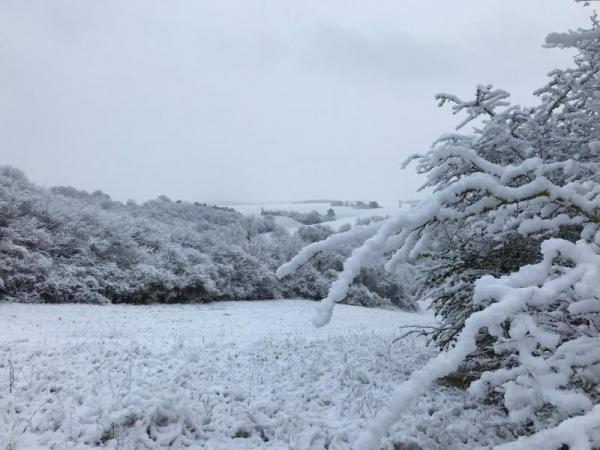 Promeneur Vermenton sous la neige hiver 2019