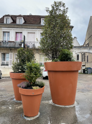 Novembre : jardinières place de la Convention (budget participatif)