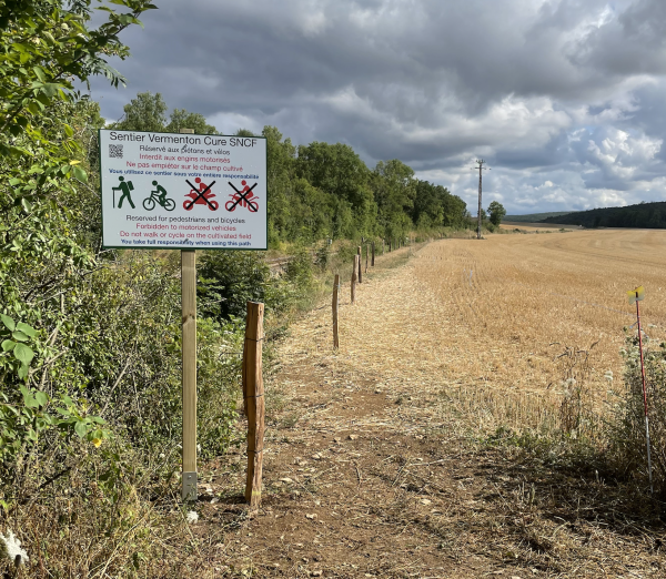 Juillet : sentier cure côté Vermenton