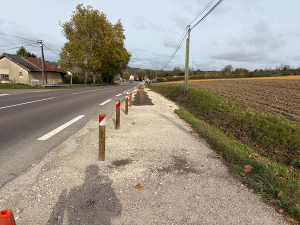 Novembre : haie entrée sud